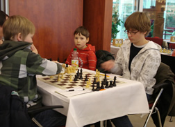 ChessOrg Bild